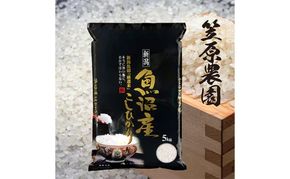 令和7年産　魚沼産コシヒカリ 5kg | 米 コメこしひかり 精米 ブランド米 お取り寄せ 十日町市