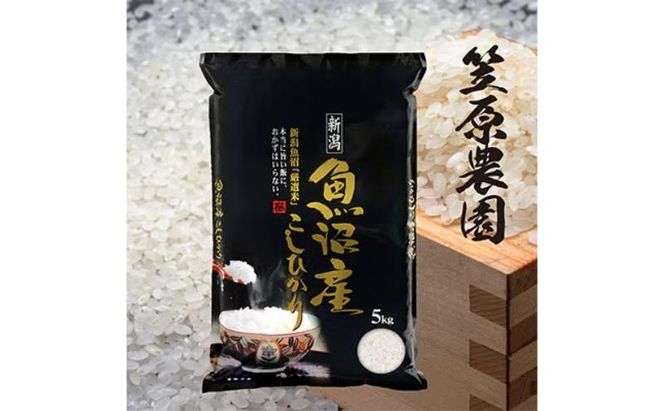 令和7年産　魚沼産コシヒカリ 5kg | 米 コメこしひかり 精米 ブランド米 お取り寄せ 十日町市