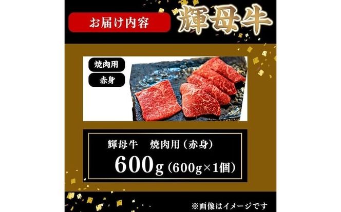 輝母牛焼肉用(赤身)(3人前600g/600g×1個) b9-004