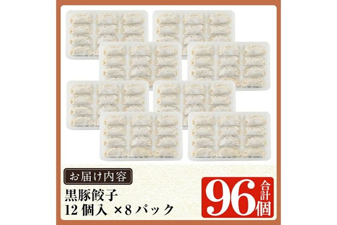 ＜容量・定期便が選べる＞鹿児島黒豚「短鼻豚」無添加餃子セット(48個・96個・3回定期便)【鹿児島ますや】姶良市 ギョーザ 餃子 無添加 惣菜 おかず おつまみ 冷凍 黒豚 国産野菜 ぎょうざ a441 a442 a880