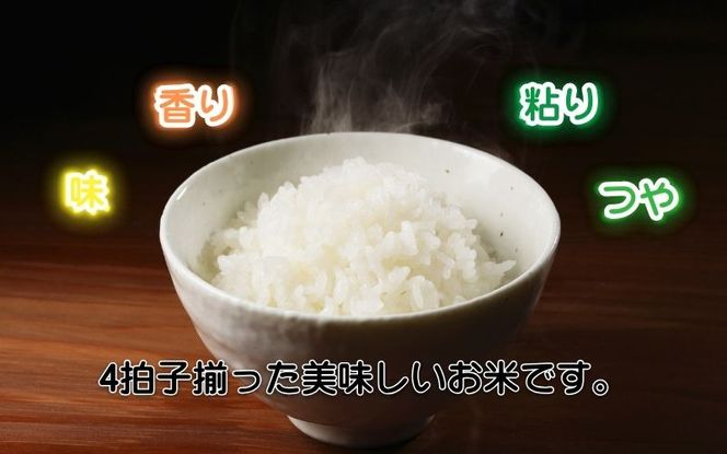【定期便】令和7年産 伊賀米コシヒカリ 10kg（6ヶ月連続）【jaig-tkb0002】