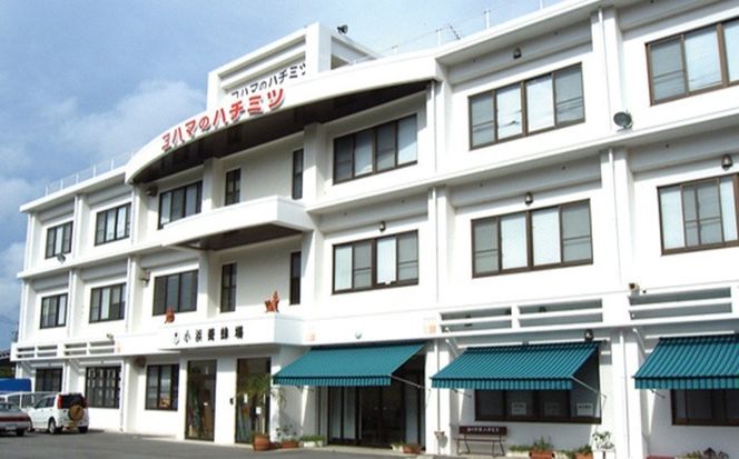 コハマのハチミツ 500g 3本セット 蜂蜜 はちみつ ハチミツ 国産 ギフト 年内発送 沖縄市 / 農業生産法人株式会社小浜養蜂場[BCAQ005] 