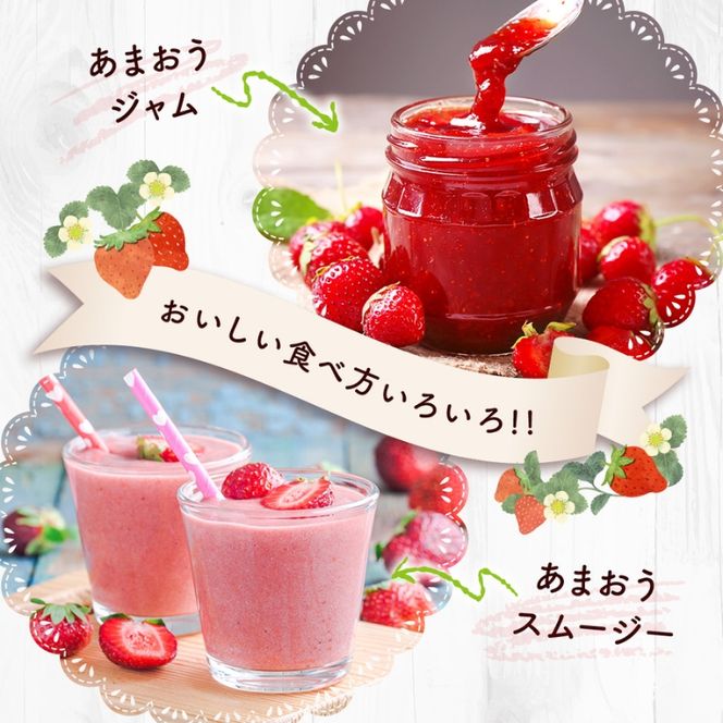 いちご 福岡県産 あまおう 500g (250g×2パック) 先行予約 2027年1月より順次発送 果物 デザート ※配送不可：離島 