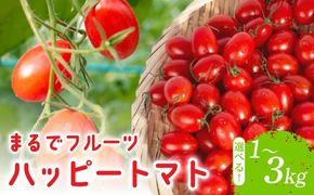 【先行予約】ハッピートマト 選べる 1～3kg とまと 1kg 2kg 3kg トマト 新鮮 野菜 完熟 高糖度 先行受付 甘い ミニトマト プチ 旬 国産 おかず 惣菜 リコピン ビタミン 美容 美肌 生野菜 フルーツトマト プラム型 糖度9～12度 濃厚 酸味 サラダ パスタ スープ てんぷら 料理 ミネラル 常温配送 1月下旬 安芸市 高知県
