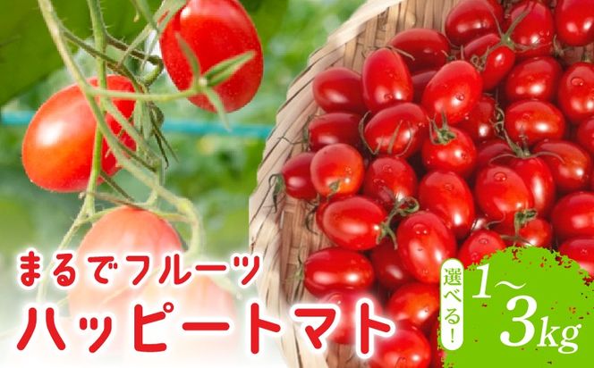 【先行予約】ハッピートマト 選べる 1～3kg とまと 1kg 2kg 3kg トマト 新鮮 野菜 完熟 高糖度 先行受付 甘い ミニトマト プチ 旬 国産 おかず 惣菜 リコピン ビタミン 美容 美肌 生野菜 フルーツトマト プラム型 糖度9～12度 濃厚 酸味 サラダ パスタ スープ てんぷら 料理 ミネラル 常温配送 1月下旬 安芸市 高知県