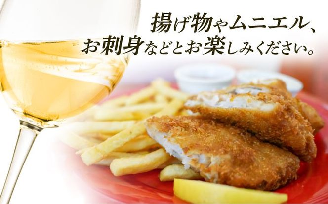 【年内発送】【糸島マスエワイナリ】STILL 醸し 1本 糸島市 / いとしのいとしま ワイン お酒[AEP005] 白ワイン 国産 ワイン 白 ぶどう 甲州 魚介 糸島 ワイナリー