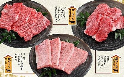 新品　未使用　宮崎限定　のびねこ　5点セット　　芋焼酎　日向夏　宮崎牛 数量限定】宮崎牛9種盛り焼肉セット_22-3101（宮崎県都城市
