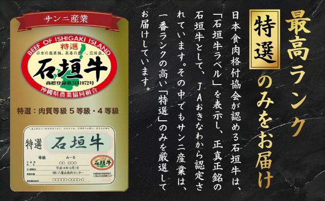 石垣牛リブロースステーキ200g×3枚 【沖縄 琉球 八重山 八重山諸島 石垣 石垣島 高級 肉 ロース 黒毛和牛 和牛 石垣牛 牛 ステーキ肉 大人気 セット 国産 石垣牛100%】A-5