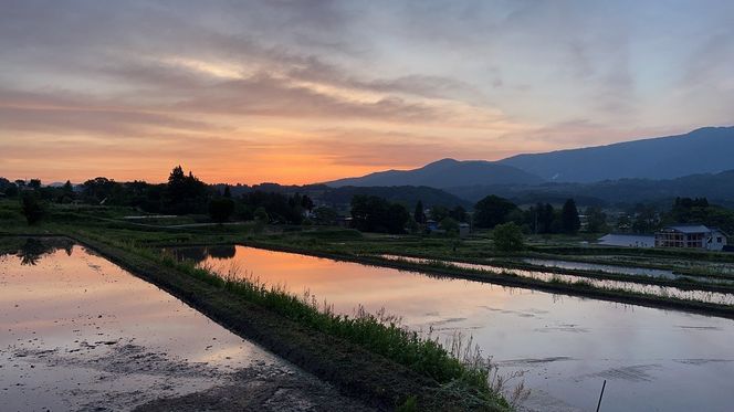 【令和7年産】特別栽培米 『奥信濃の棚田米 実の里』 こしひかり 精米 2㎏ (7-18A) 