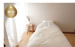 シングルサイズ羽毛肌掛けふとん　ダックス　DK521122L-20　寝具　布団　ふとん　羽毛　ダウン　羽毛布団　羽毛ふとん　ダウン布団　ダウンふとん　肌がけ　肌かけ　肌掛け