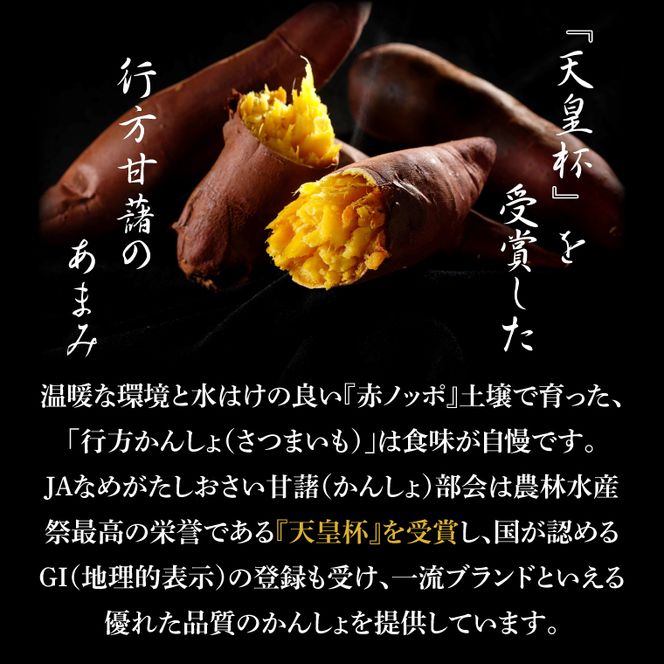 ～GI登録「さつまいも」使用～「行方かんしょとれんこんのカレー」＆「パックご飯」各18個セット｜カレー レトルト レトルトカレー パックご飯 ごはん レンジ コシヒカリ 非常食 ご当地 ご当地カレー 人気 オススメ 便利 特産品 地元特産品 茨城県 行方市(AE-148)