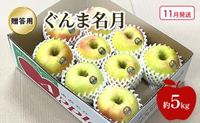 【11月発送】 りんご ぐんま名月 贈答用 約 5kg 林檎 フルーツ 果物 ギフト 青森県 鶴田町