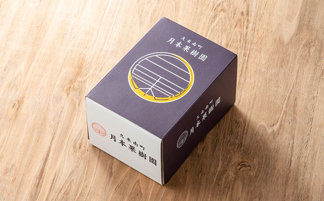 【定期便】【2026年先行予約】 ぶどう 岡山県産 シャインマスカット 1kg箱（各2～3房） 定期便 3回 《2026年10月中旬-12月上旬頃出荷》 葡萄 ブドウ 岡山県産 フルーツ 果物 数量限定