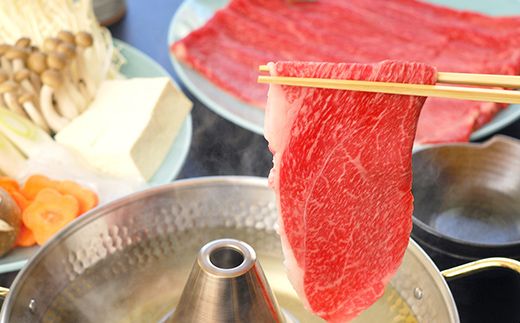 飛騨牛 もも300g・ロース300g しゃぶしゃぶ用 計600g 飛騨牛 A5等級 和牛 黒毛和牛 F4N-2664