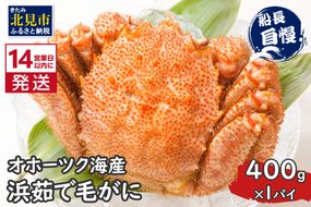 《14営業日以内に発送》オホーツク海産 浜茹で毛がに 400g×1パイ 冷凍 ( かに カニ 毛ガニ 魚介類 蟹 )【114-0012-2025】