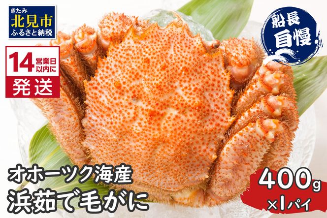 ykCkszs14cƓȓɔtIz[cNCY l䥂Ŗт 400g×1pC Ⓚ (  Jj уKj  I )y114-0012-2025z