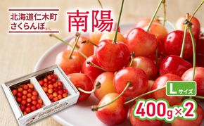 先行受付 北海道 仁木町産 さくらんぼ 南陽 400g×2P Lサイズ  サクランボ チェリー フルーツ 果物 果物類 仁木町 仁木 [林果樹園]
