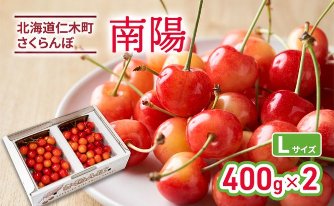 先行受付 北海道 仁木町産 さくらんぼ 南陽 400g×2P Lサイズ  サクランボ チェリー フルーツ 果物 果物類 仁木町 仁木 [林果樹園]