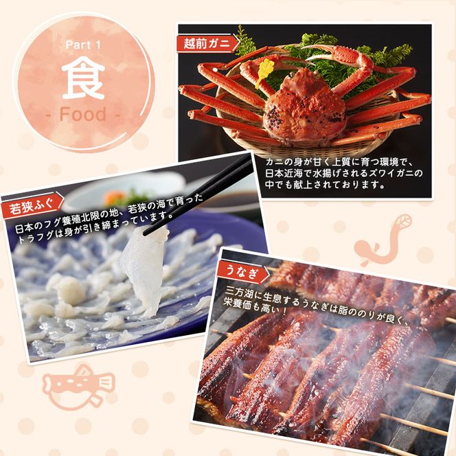 旅行 若狭町 プレミアム宿泊利用券 9000円分 1枚 宿泊補助券 福井県 福井 チケット 宿泊券 旅行券 宿泊 旅館 ホテル 9千円 福井県若狭町 