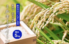 【射水市】【射水の美味しいお米】若竹のお米 R8年産 ミルキークイーン 5kg 【精米】