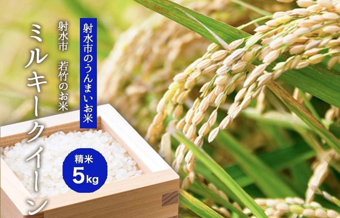 【射水市】【射水の美味しいお米】若竹のお米 R8年産 ミルキークイーン 5kg 【精米】
