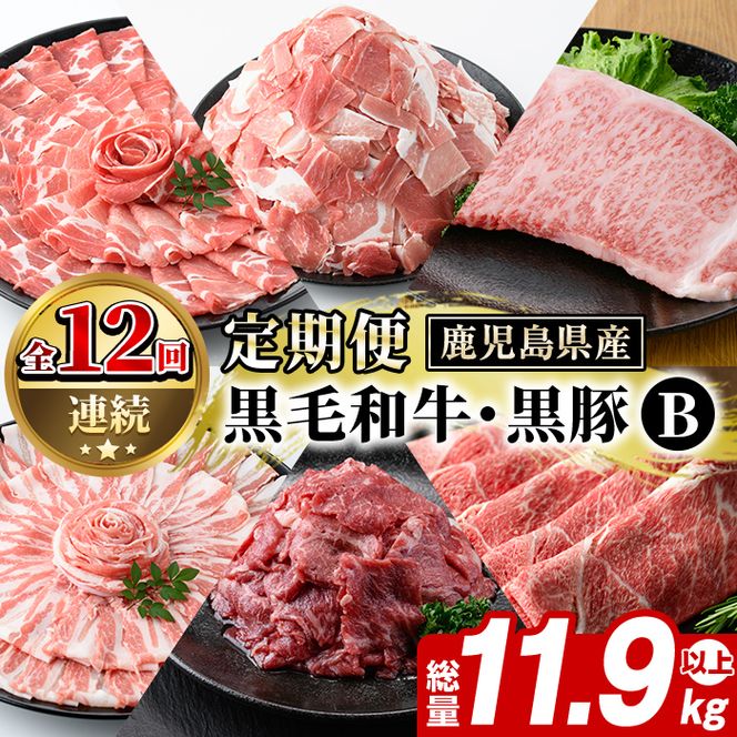 ＜定期便・全12回(連続)＞鹿児島県産 黒毛和牛・黒豚定期便 B (総量約11.9kg以上) 国産 鹿児島県産 黒豚 しゃぶしゃぶ 肩 ロース スライス 訳あり 切り落とし 黒毛和牛 サーロイン ステーキ 黒豚 バラ カタ ウデ 小分け セット 【スターゼン】akn042-36