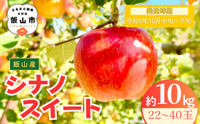 【先行予約丨2026年10月中旬より順次発送】シナノスイート【約10kg (22〜40玉)】(At-013)丨長野県 飯山市 おすすめ ランキング おいしい 高評価 大人気 先取り 産地直送 りんご