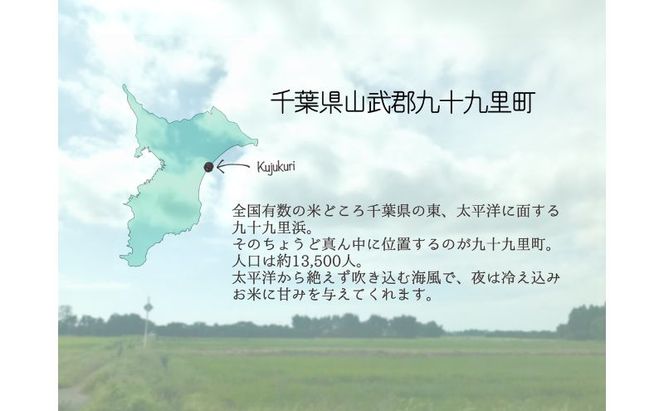 お米 千葉県産にじのきらめき5kg 米 コメ 精米 白米 人気 にじのきらめき もちもち 九十九里町 千葉県