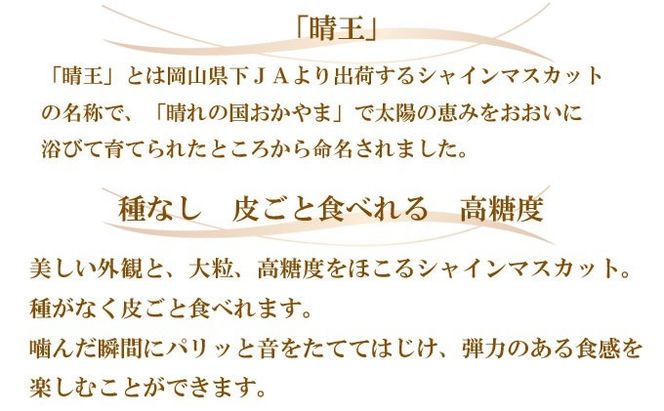 ぶどう 2026年 先行予約 シャイン マスカット 晴王 約700g×1房 8月下旬～11月下旬発送 ブドウ 葡萄 岡山県産 国産 フルーツ 果物 ギフト 岡山の葡萄 デザート 食後