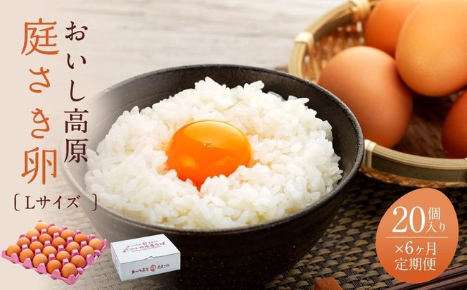 ya̎RLc쒬z6  낳 LTCY 20 yS6񂨓͂zED004