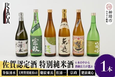 yꌧ_szTheSAGAF ʏĎ܂ 1{  yꌧY F X  Mtg  v[gz(H072192)