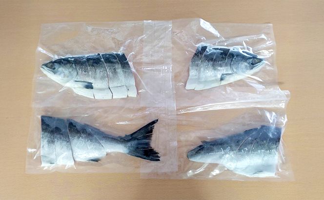 北海道産 塩時鮭 姿切身 1尾 約1.2kg （300g×4パック） [ 鮭 さけ 時鮭 貴重 焼き魚 魚 魚介類 サケ ] 