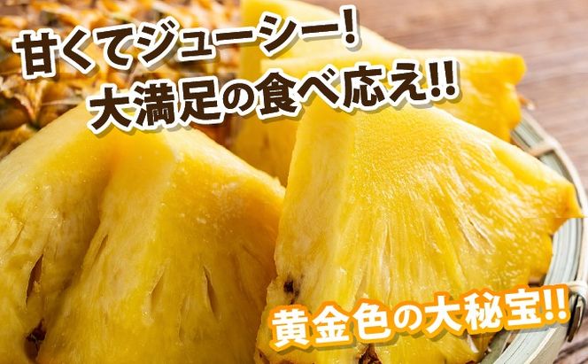 【先行予約2026年5月下旬ころから順次発送】最高糖度20度！？石垣島産完熟ゴールドバレル 1玉 約1.7kg