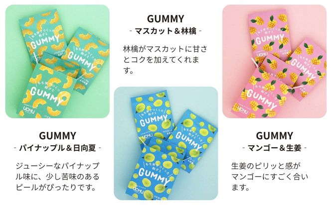 【UCHU wagashi】GUMMY 3種セット(パイナップルと日向夏/マスカットと林檎/マンゴーと生姜)｜京都 創作和菓子 人気店 グミ［ 和グミ全3種詰め合せ 新しい和菓子 もっちり感 他にはない個性いっぱい 和三盆 可愛い 手作り 人気 おすすめ お取り寄せ 通販 送料無料 ふるさと納税 ］ 261009_B-XT02