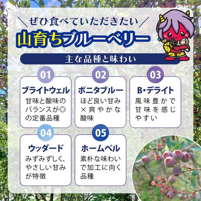 【先行予約】【選別済み大粒】冷凍ブルーベリー900g（150g×6P） | 選別済み 大粒 国産 個包装 小分け 冷凍 鬼北町直営農園 果実 フルーツ 果物 くだもの 朝食 ヨーグルト　鬼北町役場 日吉支所 愛媛県 ※2026年8月～発送