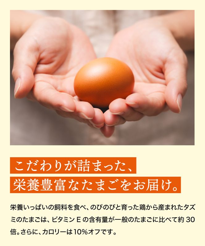 【累計600万個突破！】【TVで紹介されました】タズミの卵Ｍサイズ（20個）005AB02N.／こだわり卵 市川町産 兵庫県産 たまご 卵 たまごかけご飯 玉子 生卵 鶏卵 タマゴ 卵焼き TKG