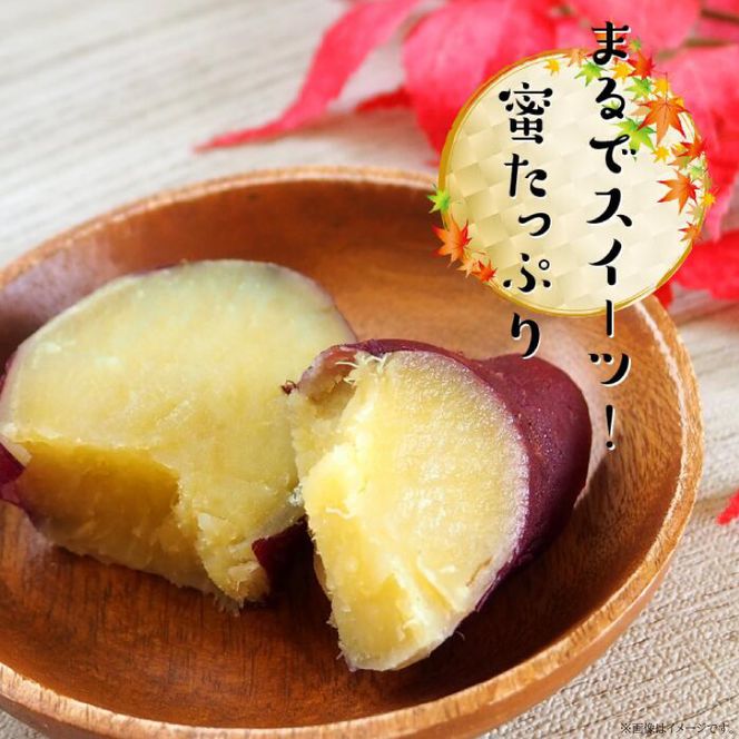 【先行予約】【2026年11月より順次発送開始】【訳あり】紅はるか 約10kg｜さつまいも 芋 お芋 わけあり 訳あり 紅はるか タネのハシモト 茨城県 行方市(BS-23)
