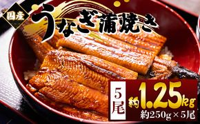 国産蒲焼きうなぎ ２５０ｇ ５尾 計１２５０ｇ fb-0170