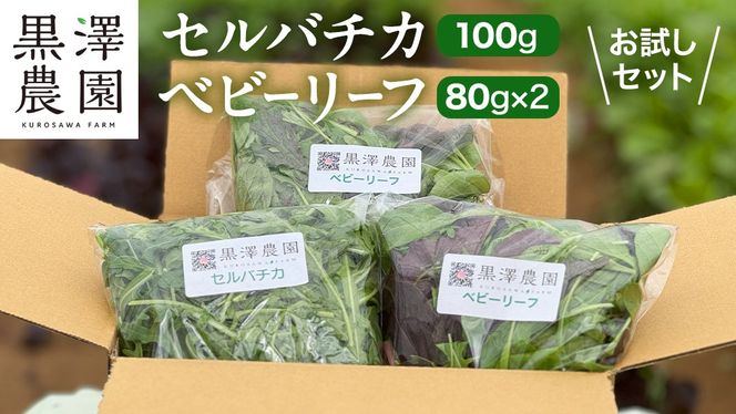 y錧΂݂炢szZo`J (ChbR) 100g  xr[[t (80g × 2pbN)  V_ Zbg xr[[tT_  Hׂ₷ t t@~[ { VN Y ʂ T_ 炾 bR n[u VN Y h Zo`R xr[[t