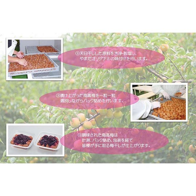 【定期便/3か月ごと/全3回】紀州南高梅しそプレミアム塩分約6％（850g）