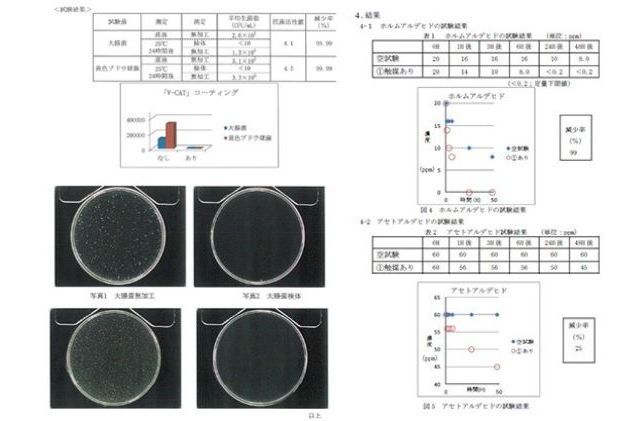 光触媒人工観葉樹・花「空気清浄樹」Cタイプ 植物 コーティング 造花 造木 造葉 ウイルス 光が当たる場所 インフルエンザ 