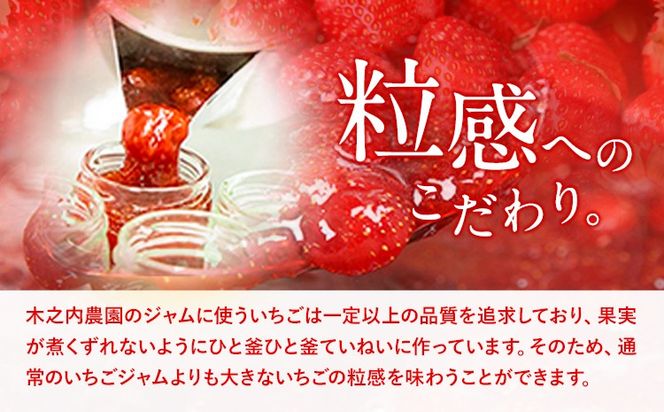 いちご ジャム 果実 ぎっしり！木之内農園の手作りいちごジャム 450g (150g×3本）　《30日以内に出荷予定(土日祝を除く)》 熊本県 南阿蘇村 イチゴ 苺 大粒---isms_kinonsb_30d_r7_8000_450g---