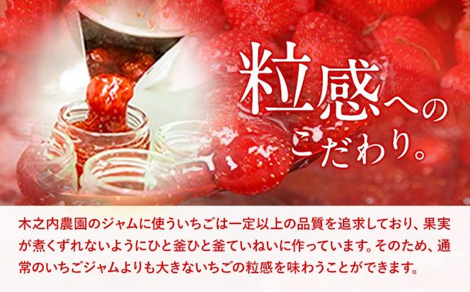 いちご ジャム 果実 ぎっしり！木之内農園の手作りいちごジャム 450g (150g×3本）　《30日以内に出荷予定(土日祝を除く)》 熊本県 南阿蘇村 イチゴ 苺 大粒---isms_kinonsb_30d_24_8000_450g---