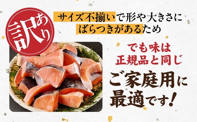 G4011 【定期便】銀鮭 切身 約50g×20切れ 全6回【お弁当サイズ 小分け 漁師 手切り 1kg さけ サケ 切り身 弁当 朝食 時短 訳あり サイズ不揃い 規格外 冷凍食品】