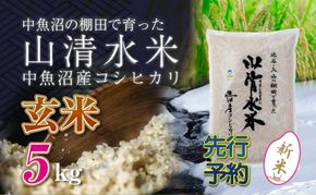 【令和8年産 先行予約】新潟県魚沼産コシヒカリ「山清水米」玄米5kg