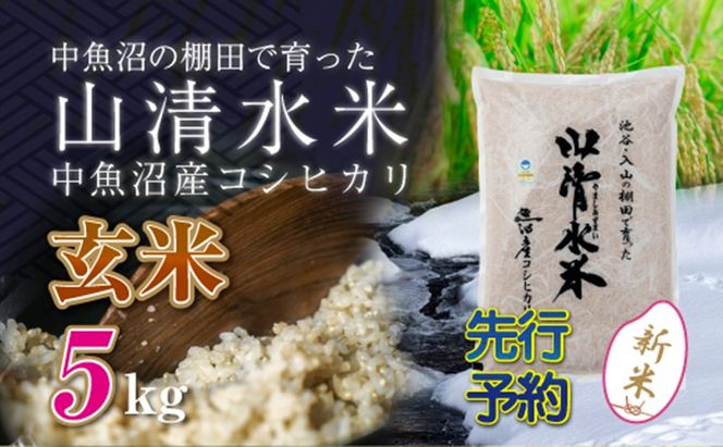 【令和8年産 先行予約】新潟県魚沼産コシヒカリ「山清水米」玄米5kg