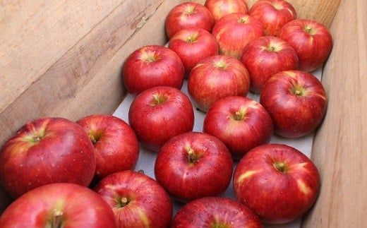 数量限定！【生産者支援品】イーハトーヴご家庭用りんご約1.5～2kg（5～6個） 【2044】