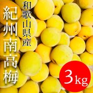 黄色～完熟梅 南高梅 3kg DJ067