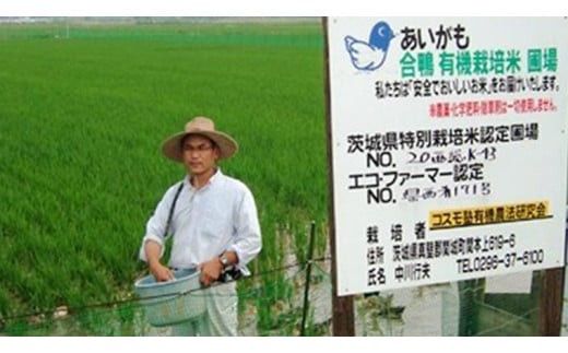愛がも米 「 コシヒカリ 」 5kg ( 玄米 ) 米 コメ こめ こしひかり 令和7年産 除草剤不使用 農薬不使用 化学肥料不使用 [AI004ci]