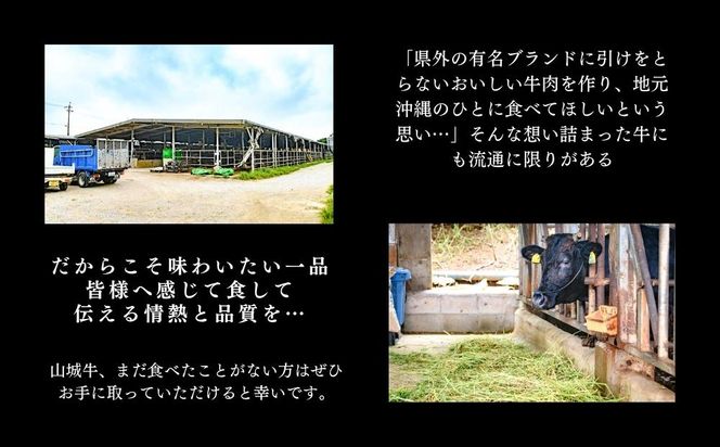 【入手困難】【幻の黒毛和牛】『山城牛』【雌牛限定】サーロイン　ステーキカット250g